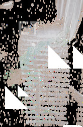 Brush & Paint Decals