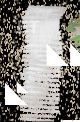 Brush & Paint Decals