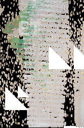 Brush & Paint Decals