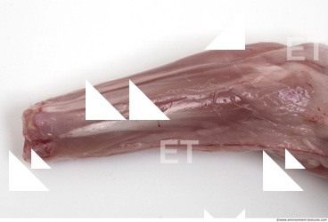 rabbit meat 0004