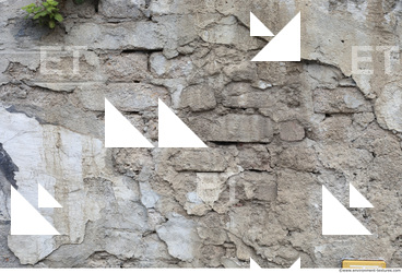 Wall Bricks Plastered