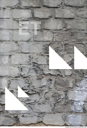 Wall Bricks Plastered