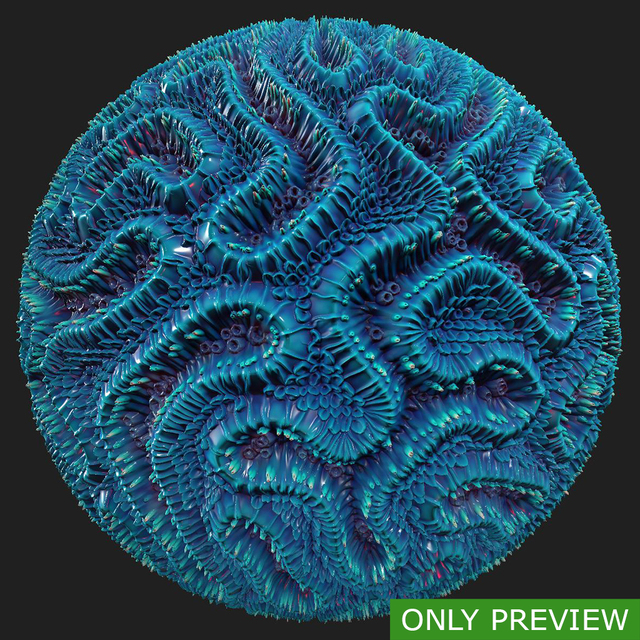 PBR substance material of coral created in substance designer for graphic designers and game developers