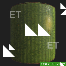 PBR watermelon preview 0003