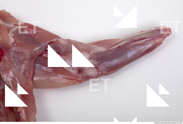 Rabbit Meat