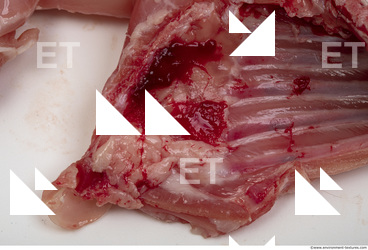 rabbit meat 0013