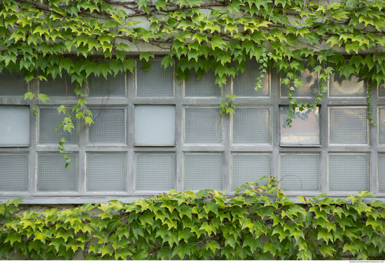 Blocks Windows