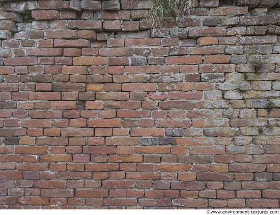 Wall Bricks Old