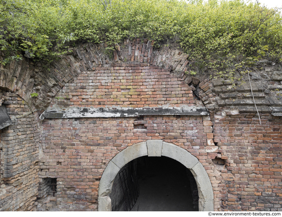 Wall Bricks Overgrown