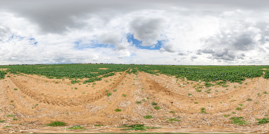 panorama  HDRi background field