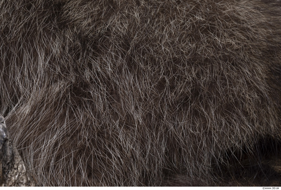 Fur