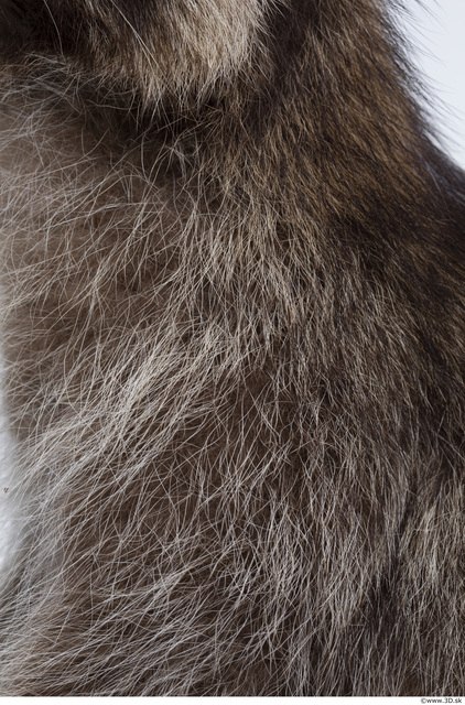 Fur