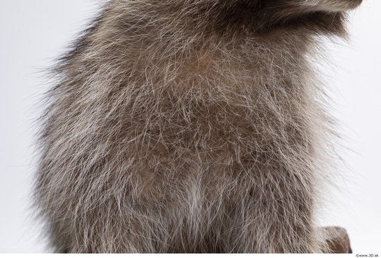 Fur