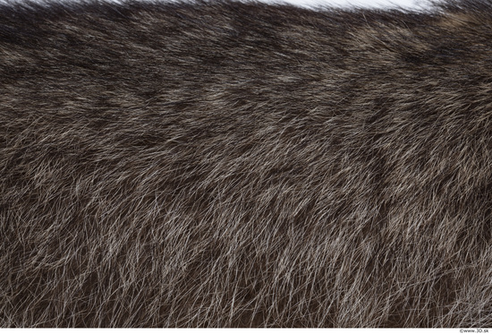 Fur