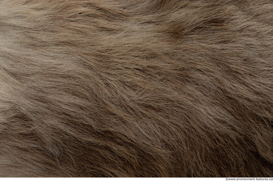 Fur