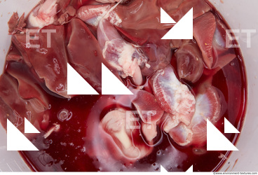 RAW meat pork viscera 0003