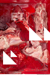 RAW meat pork viscera 0006