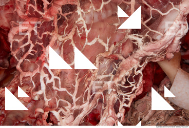 RAW meat pork viscera 0012