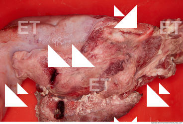 RAW meat pork viscera 0036