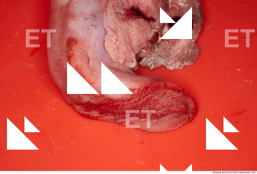 RAW meat pork viscera 0037