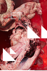 RAW meat pork viscera 0044