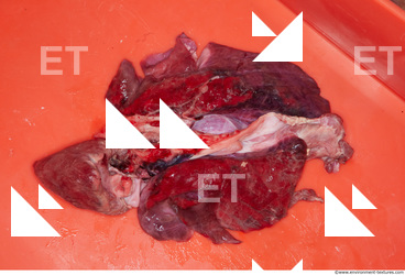 RAW meat pork viscera 0056