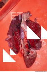 RAW meat pork viscera 0057