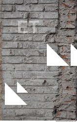 Wall Bricks Damaged