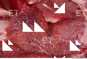 Pork Meat