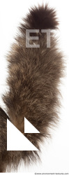 Fur