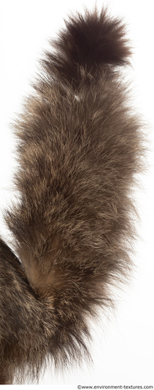 Fur