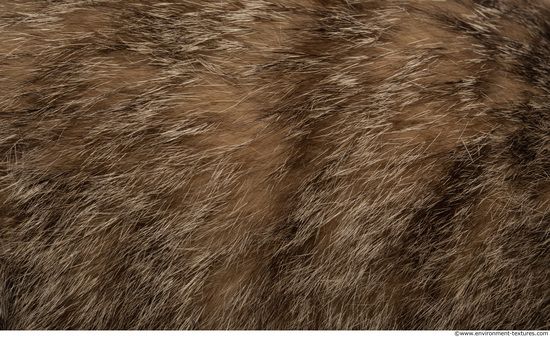 Fur