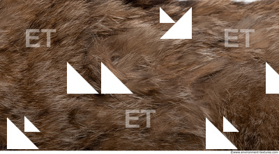 Fur