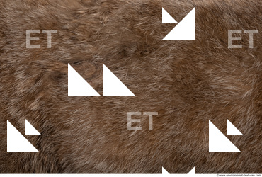 Fur