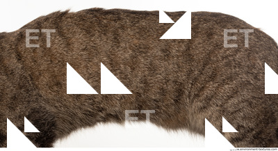 Fur