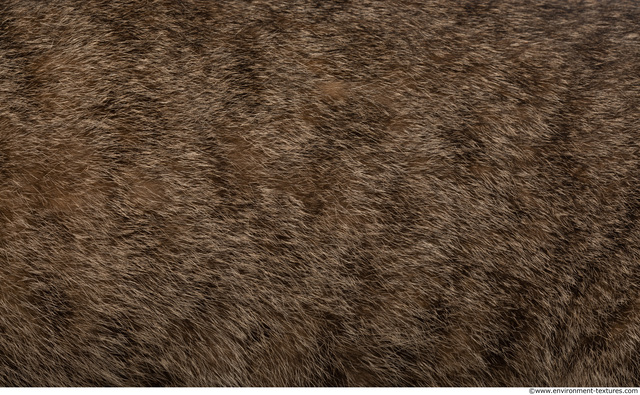 Fur