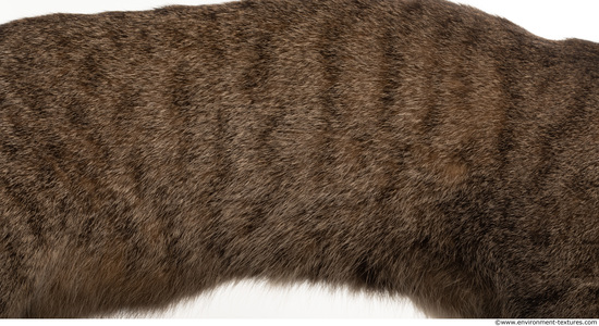 Fur