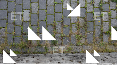 tile floor stones overgrown 0003