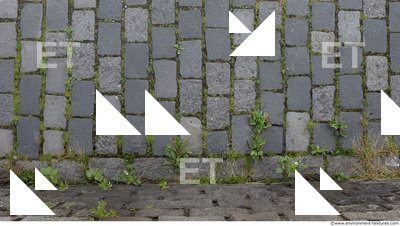 tile floor stones overgrown 0004