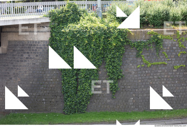 wall overgrown ivy 0002