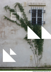 wall overgrown ivy 0013