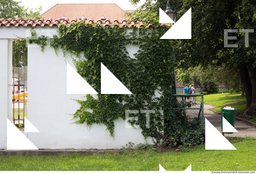 wall overgrown ivy 0014