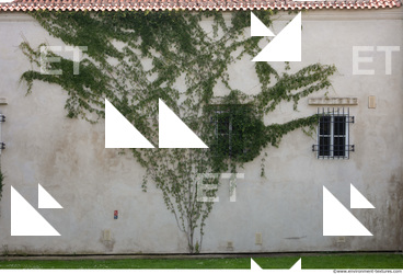 wall overgrown ivy 0015