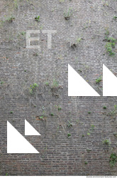 walls bricks old 0010