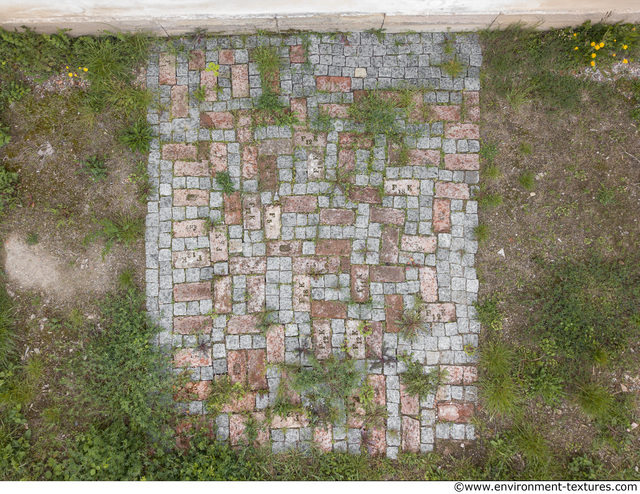 Overgrown Floors