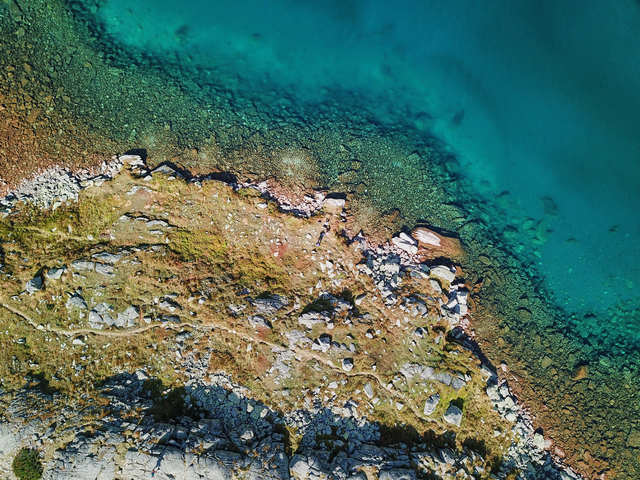 Lake from Above