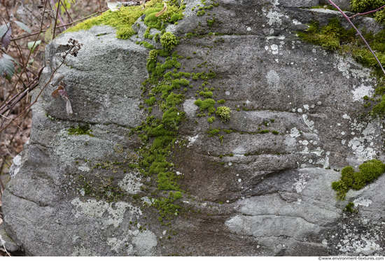 Cliffs Overgrown Rock