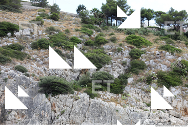 Cliffs Overgrown Rock