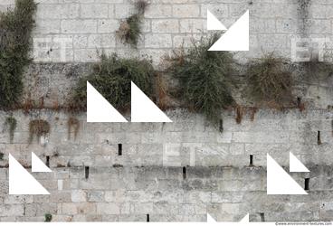 Overgrown Walls Stones