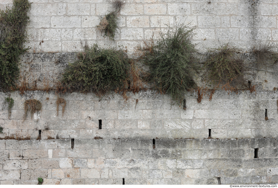 Overgrown Walls Stones